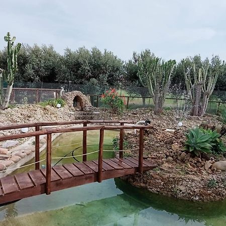 Villa Michelangelo カステッランマーレ・デル・ゴルフォ エクステリア 写真